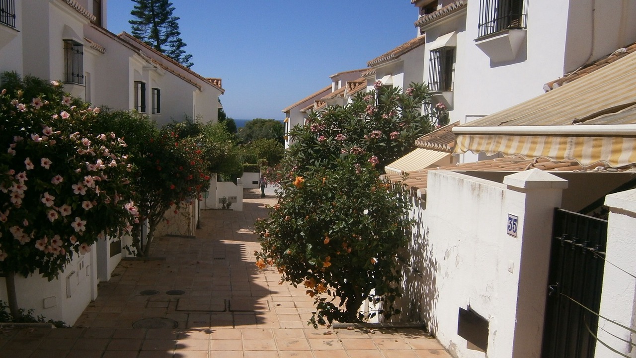 Photo of Outdoor in Benajarafe