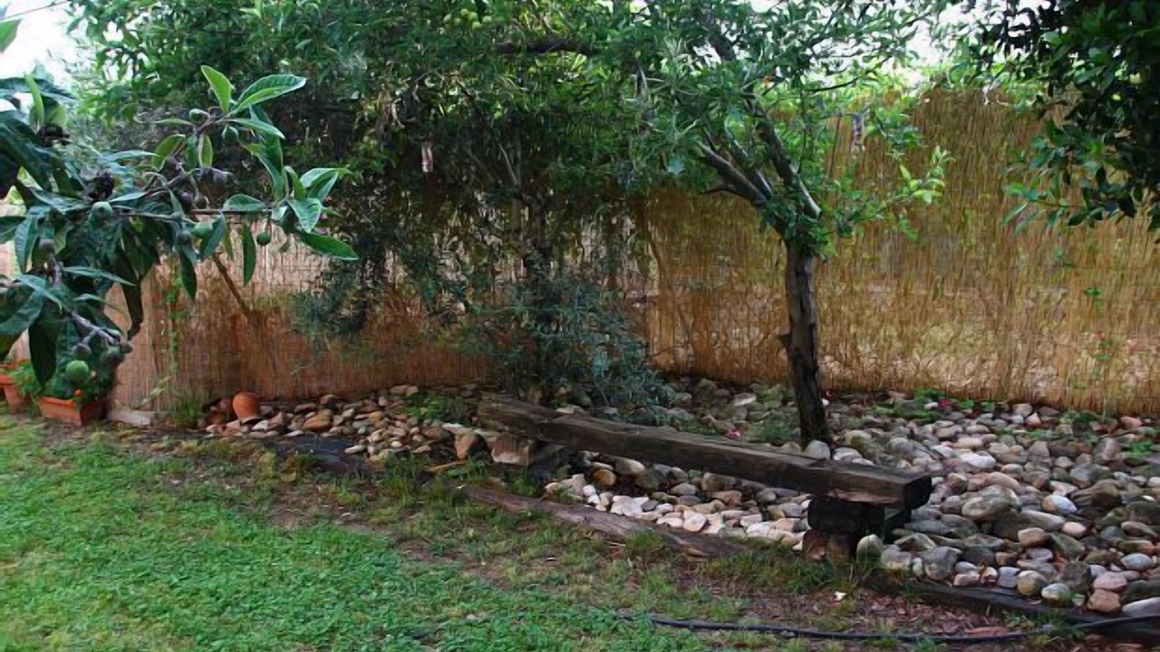 Photo of Outdoor in Murchante