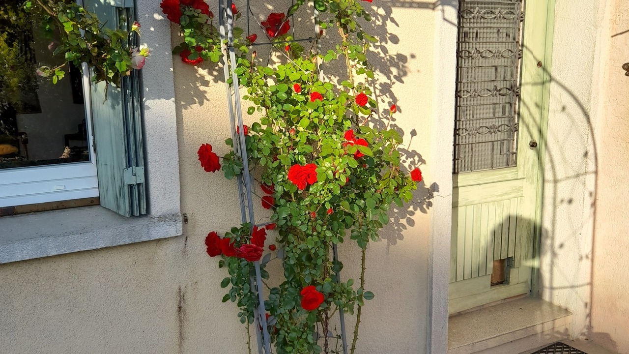 Photo of Outdoor in Nord