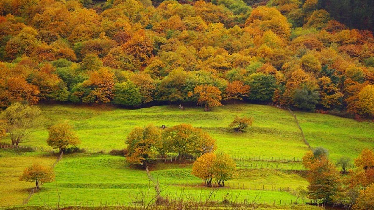 Photo of Outdoor in Cieza