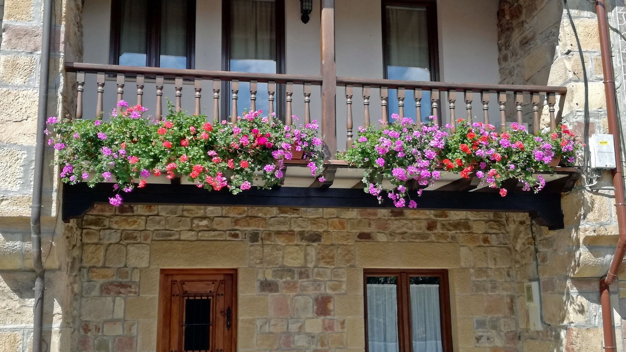 Photo of Outdoor in Cieza