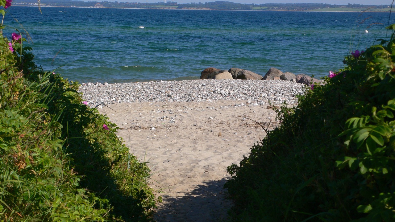 Photo of Others in Waabs