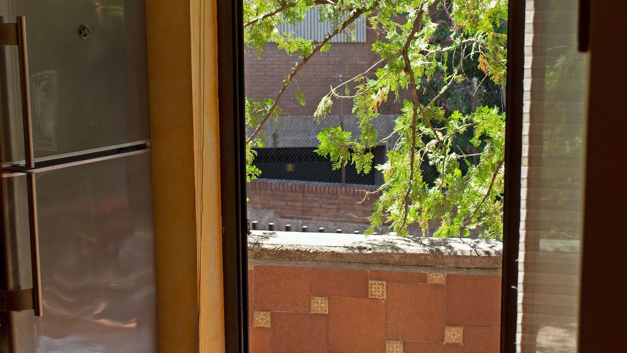 Photo of Others in Nueva Espana