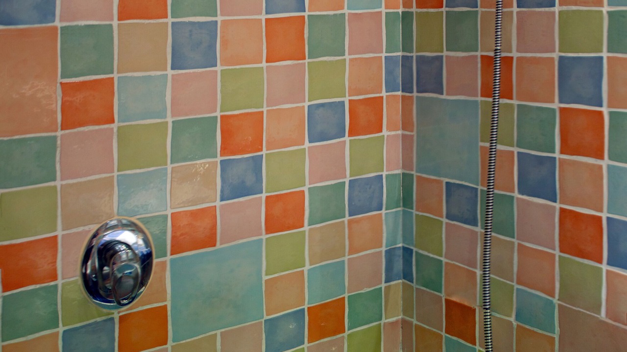 Photo of Bathroom in Nueva Espana