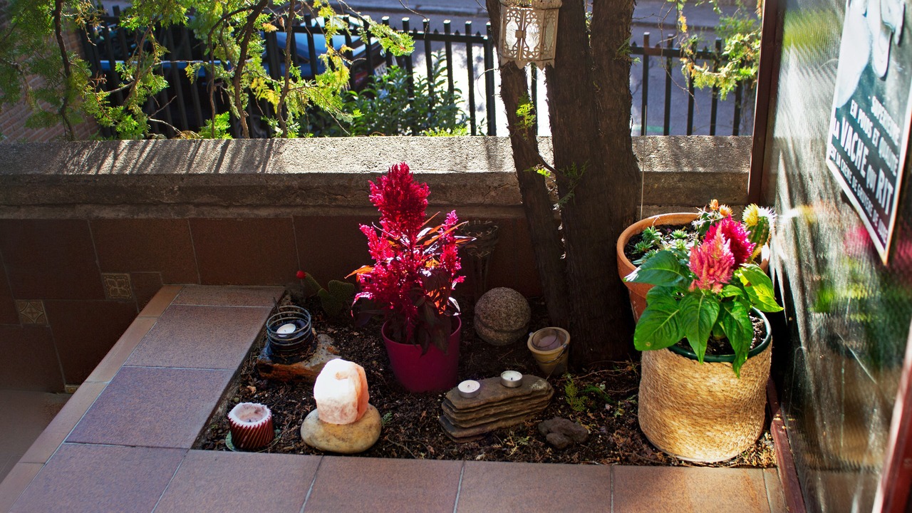 Photo of Outdoor in Nueva Espana