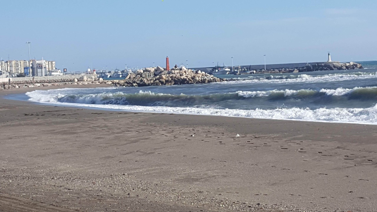 Photo of Others in Algarrobo