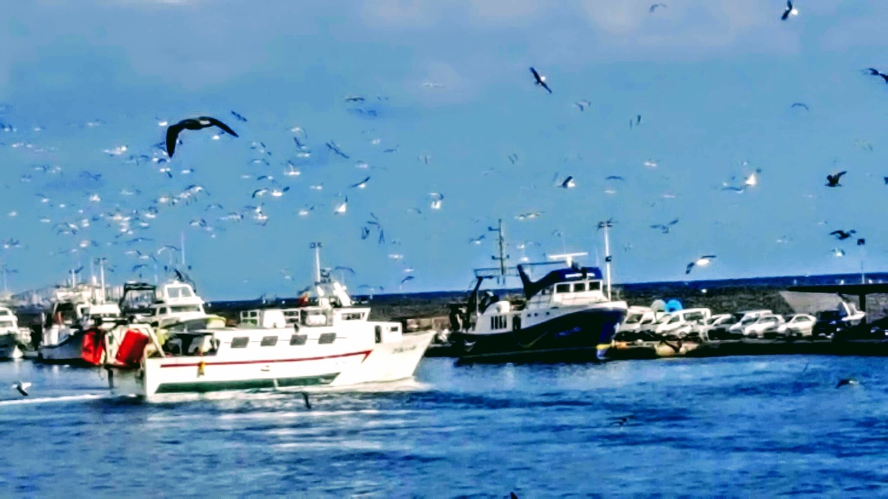 Photo of Others in Algarrobo