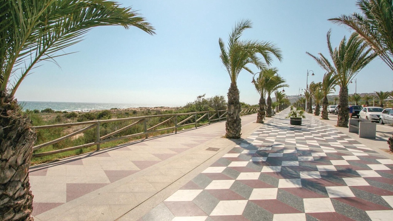 Photo of Others in Monte Faro