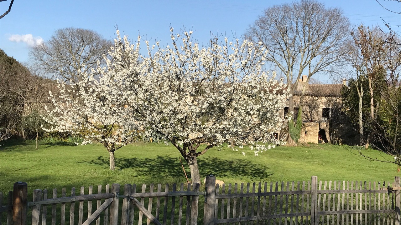 Photo of Outdoor in Sainte-Anastasie