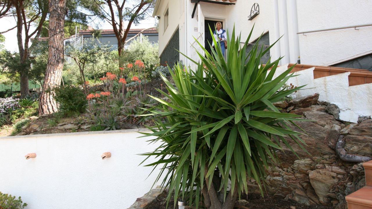 Photo of Outdoor in El Mas Fumats