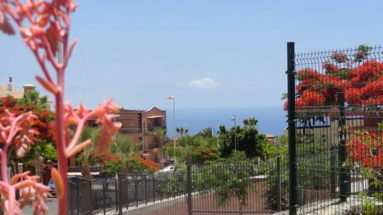 Photo of Outdoor in Adeje