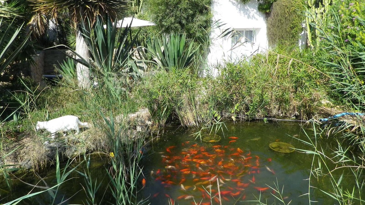 Photo of Outdoor in Puig Manya