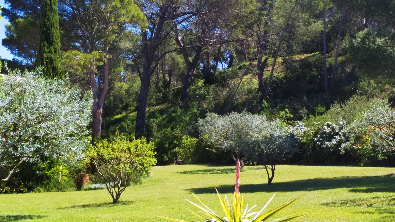 Photo of Outdoor in Pujaut