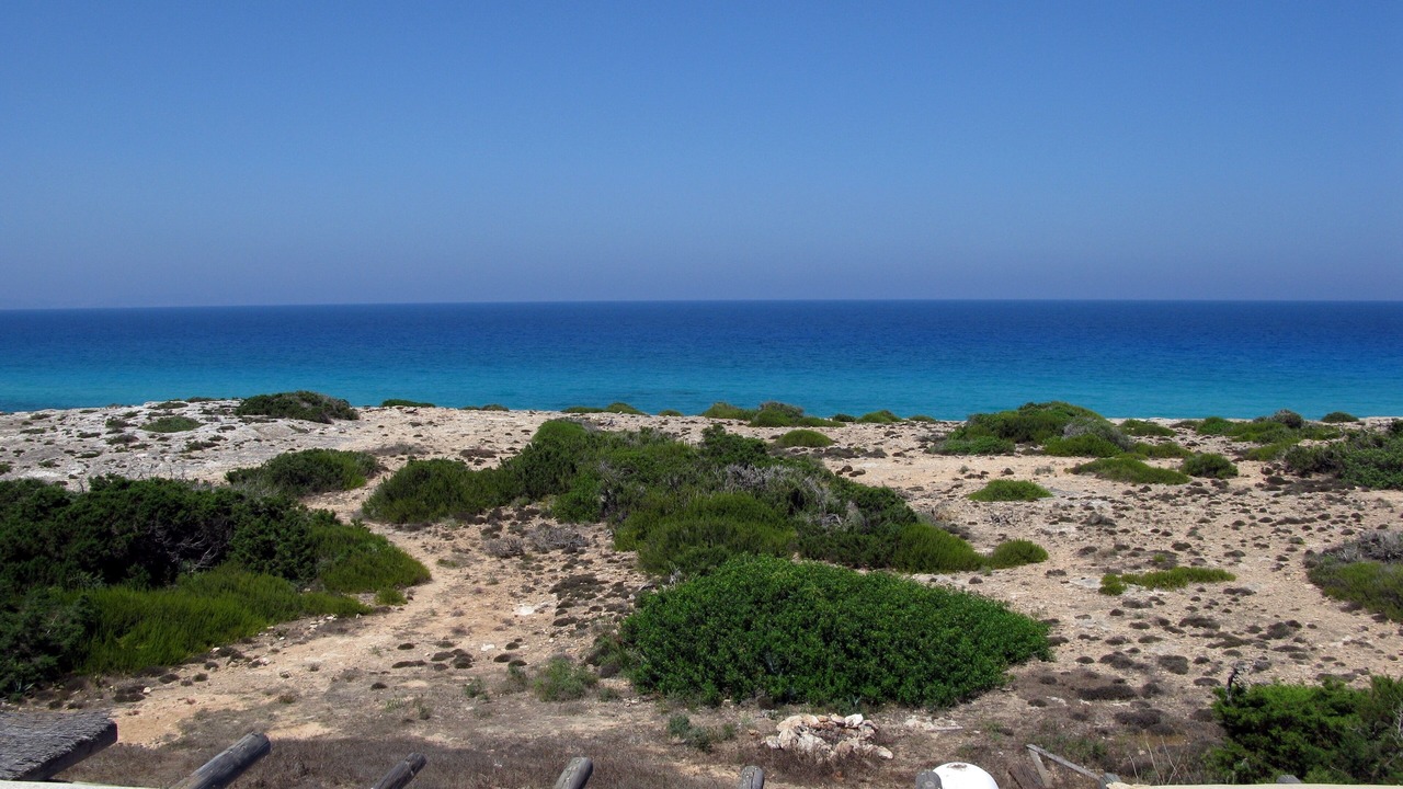Photo of Others in Calo de Sant Agusti