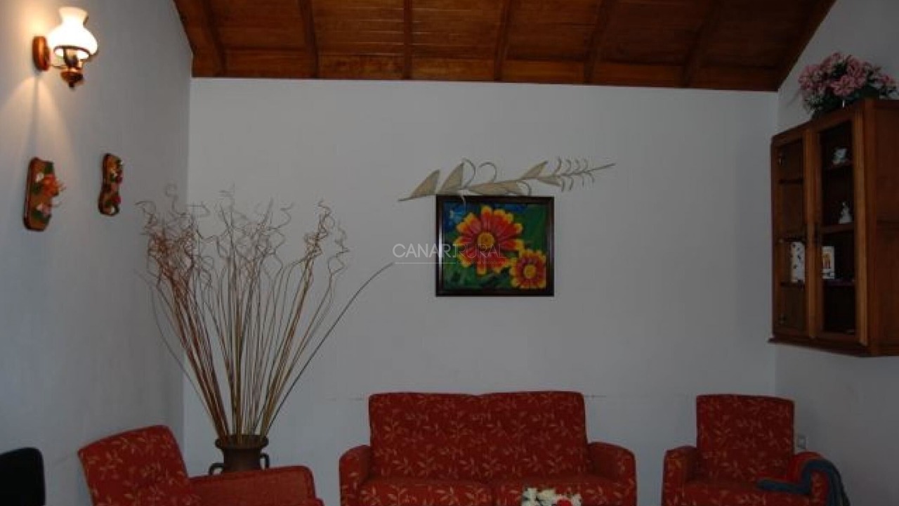 Photo of Others in Lomito Fragoso y Honduras