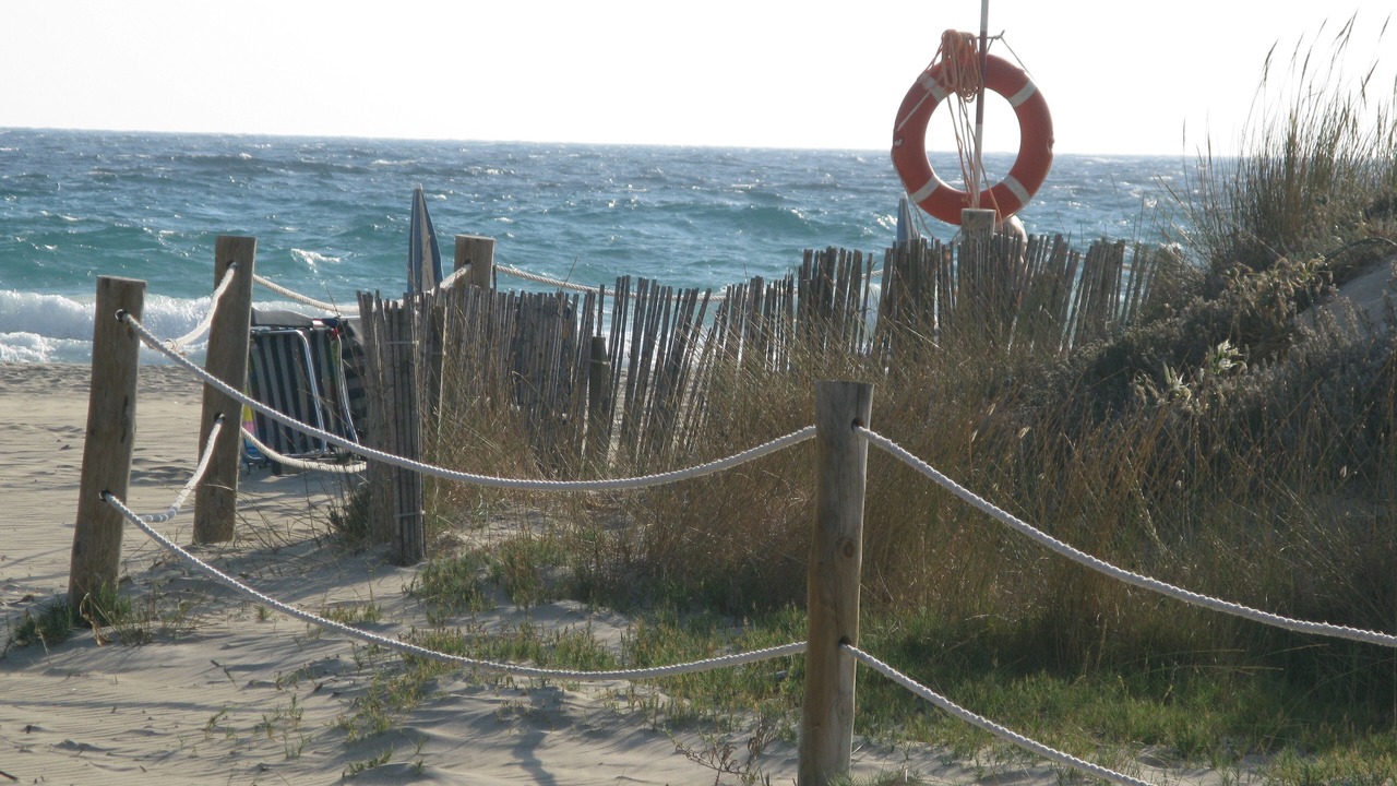 Photo of Others in Son Bou