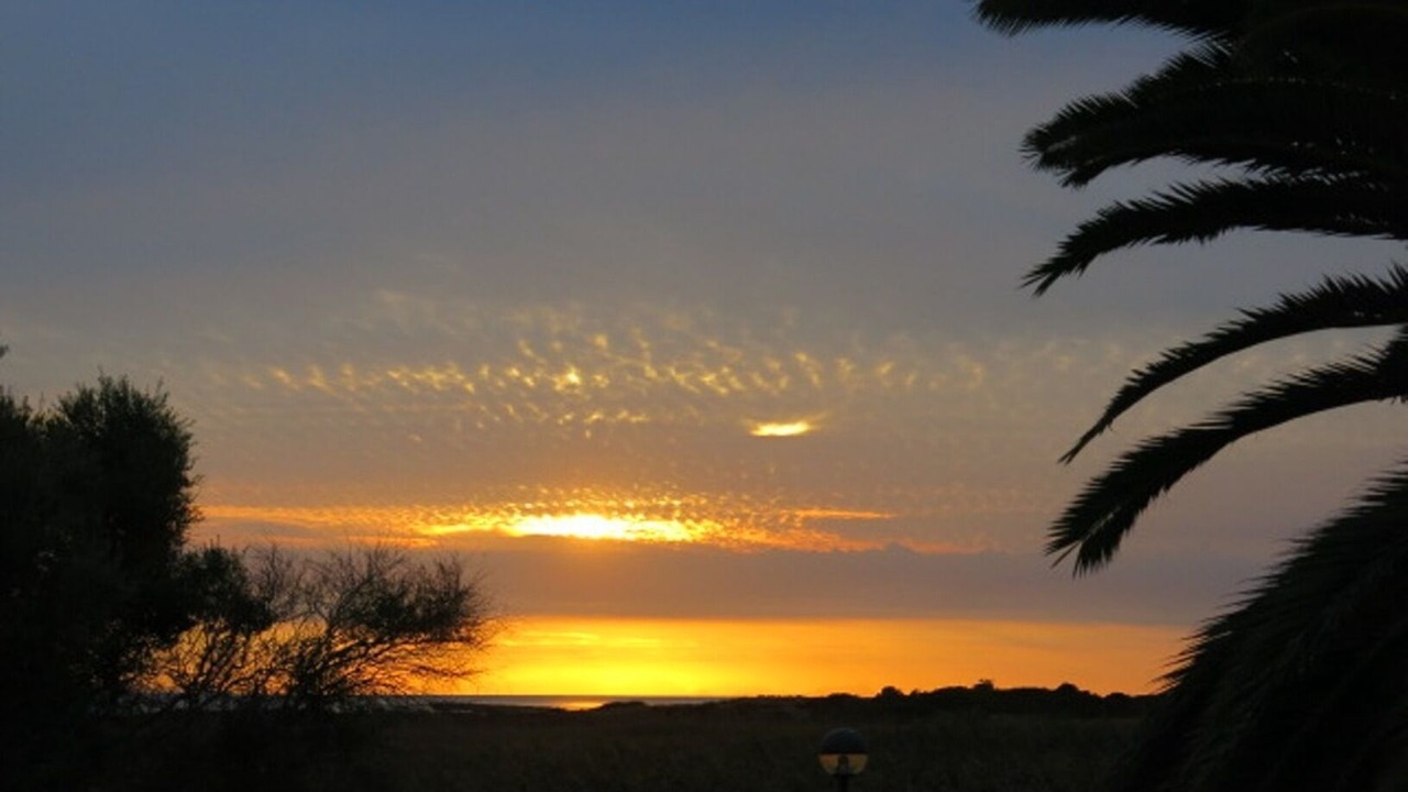 Photo of Others in Son Bou