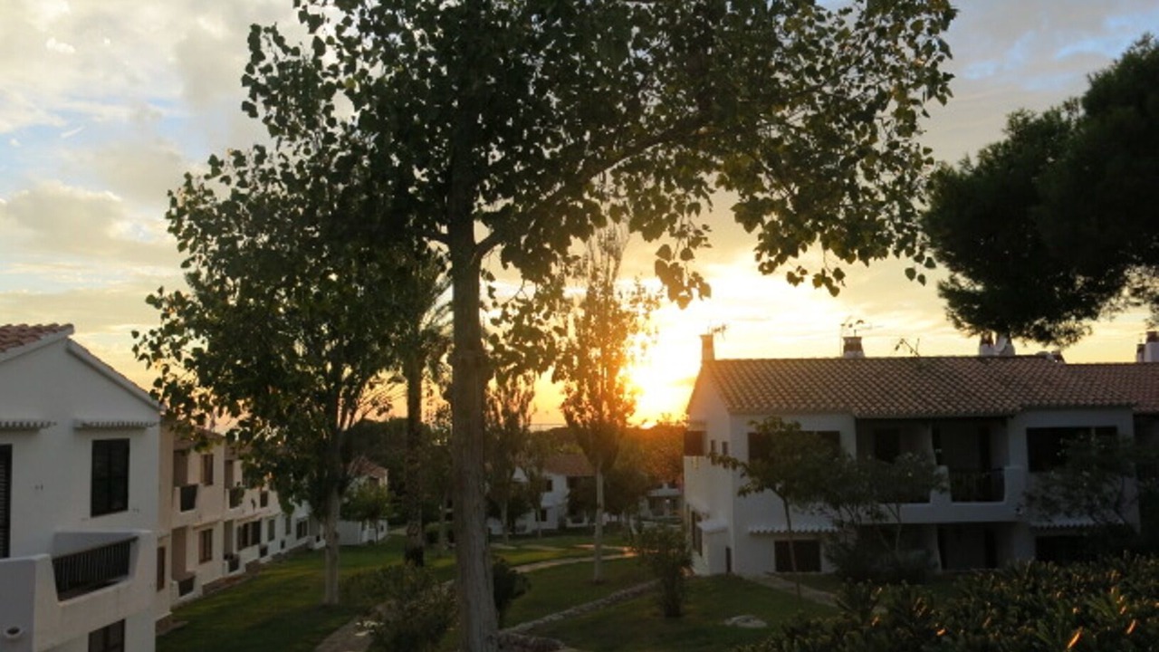 Photo of Outdoor in Son Bou