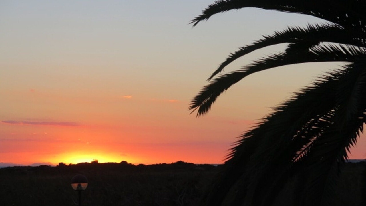 Photo of Outdoor in Son Bou