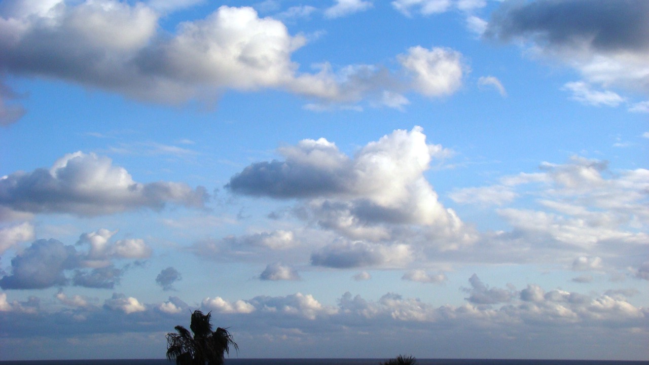 Photo of Others in Sitio de Calahonda