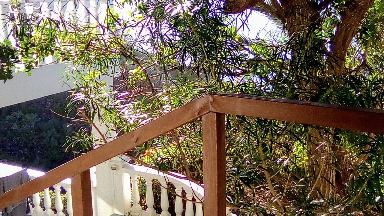 Photo of Outdoor in Los Realejos