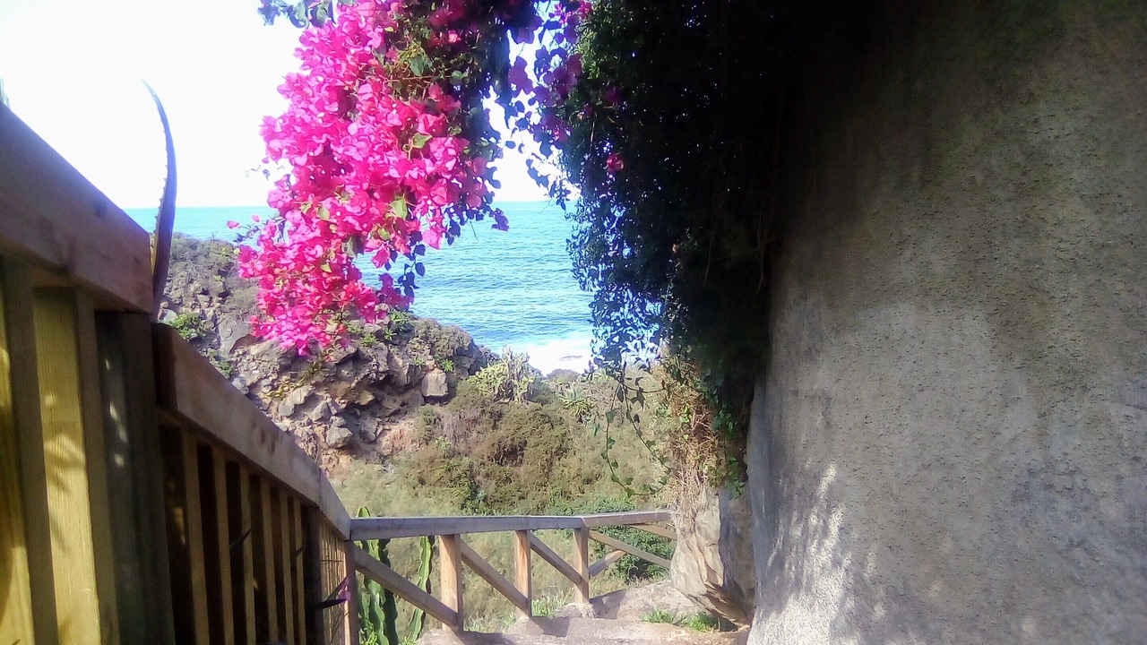 Photo of Outdoor in Los Realejos