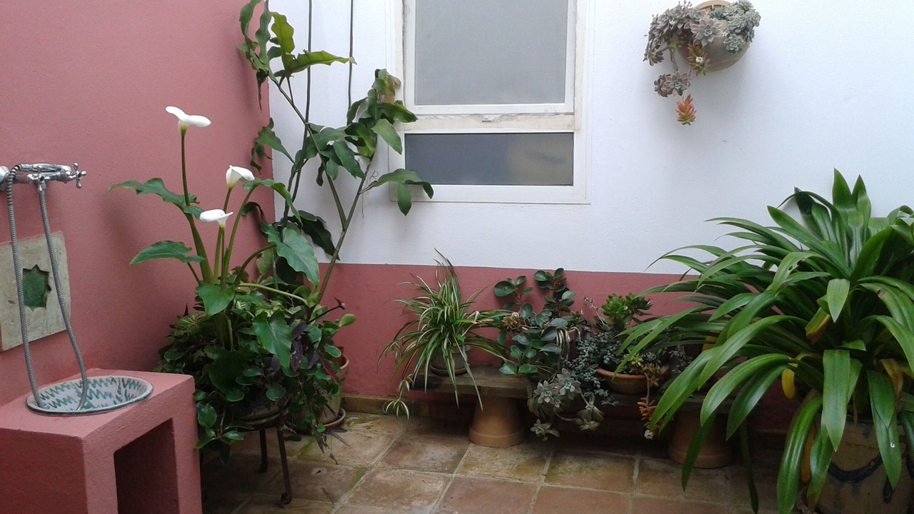 Photo of Outdoor in Poblado de Sancti Petri