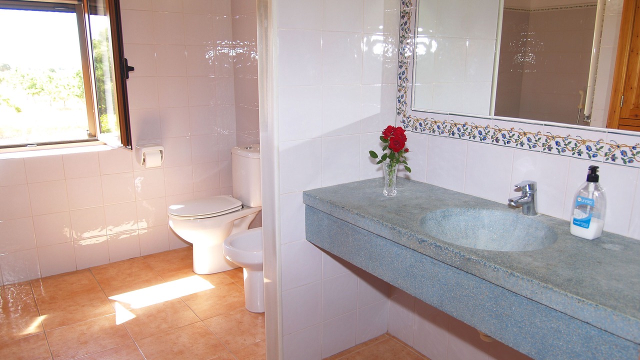 Photo of Bathroom in Campos