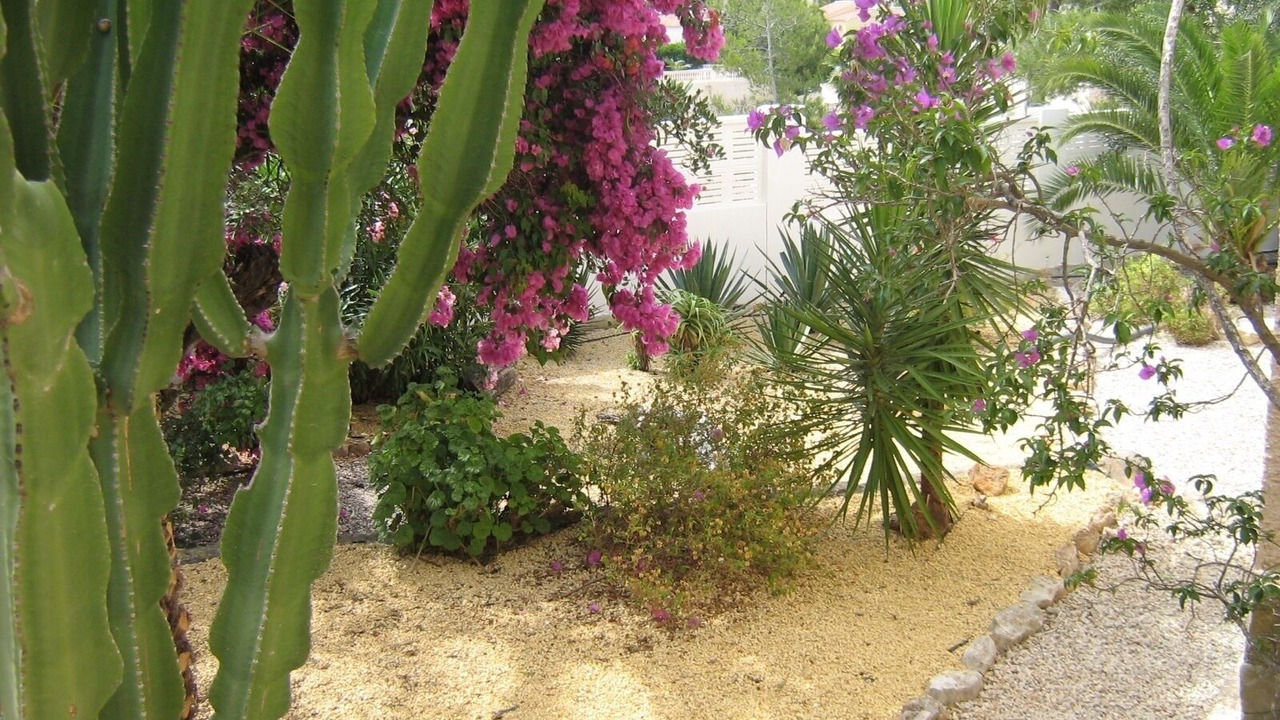 Photo of Outdoor in Casas de Torrat