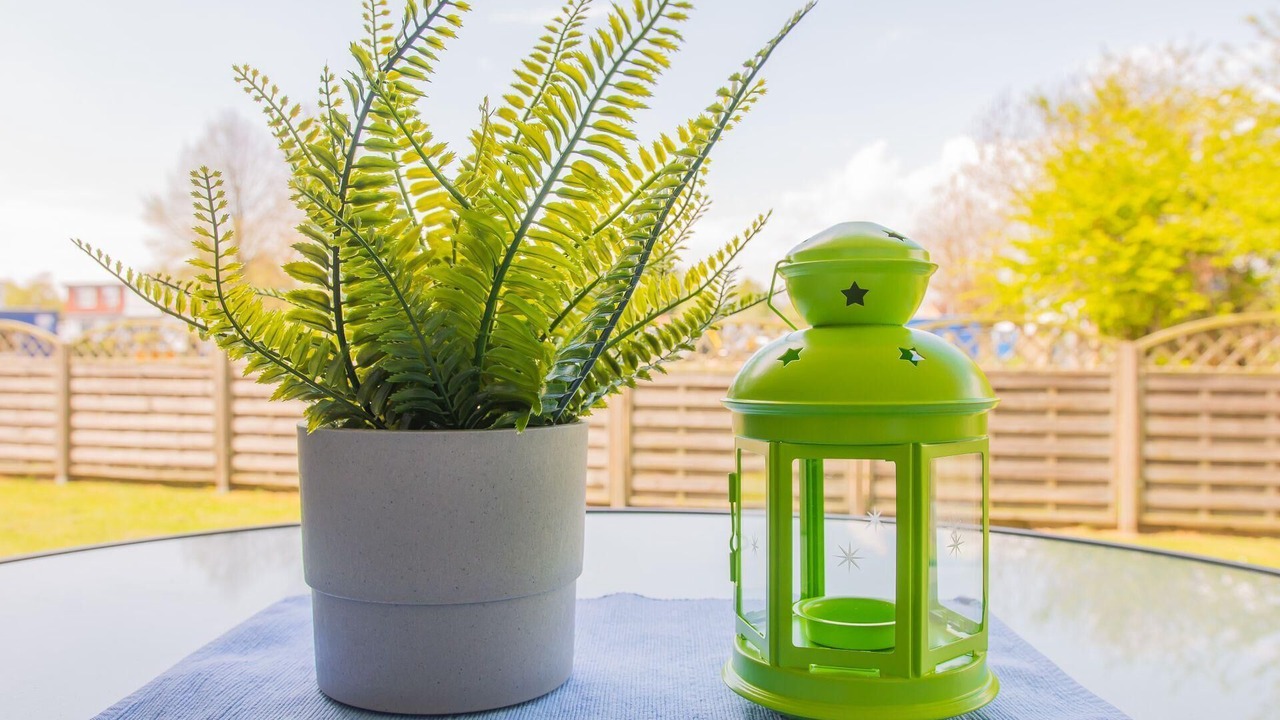 Photo of Outdoor in Dahme