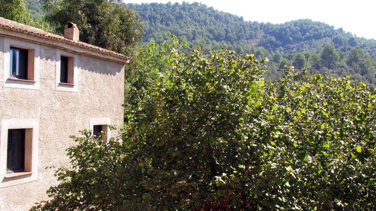 Photo of Outdoor in L'Aleixar