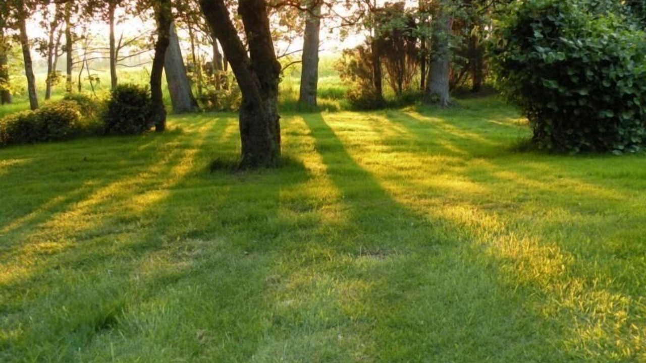 Photo of Outdoor in Osterbruch