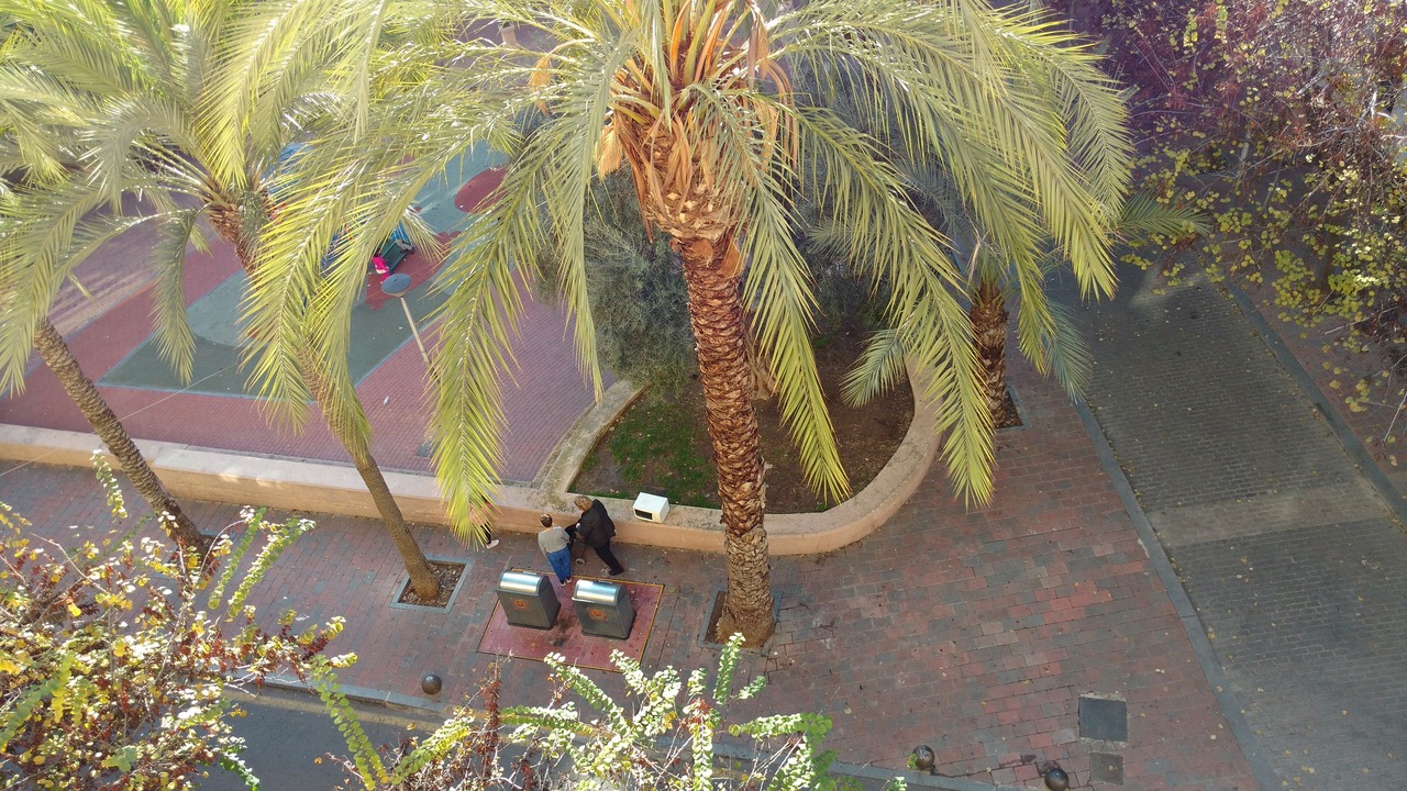 Photo of Outdoor in Campoamor