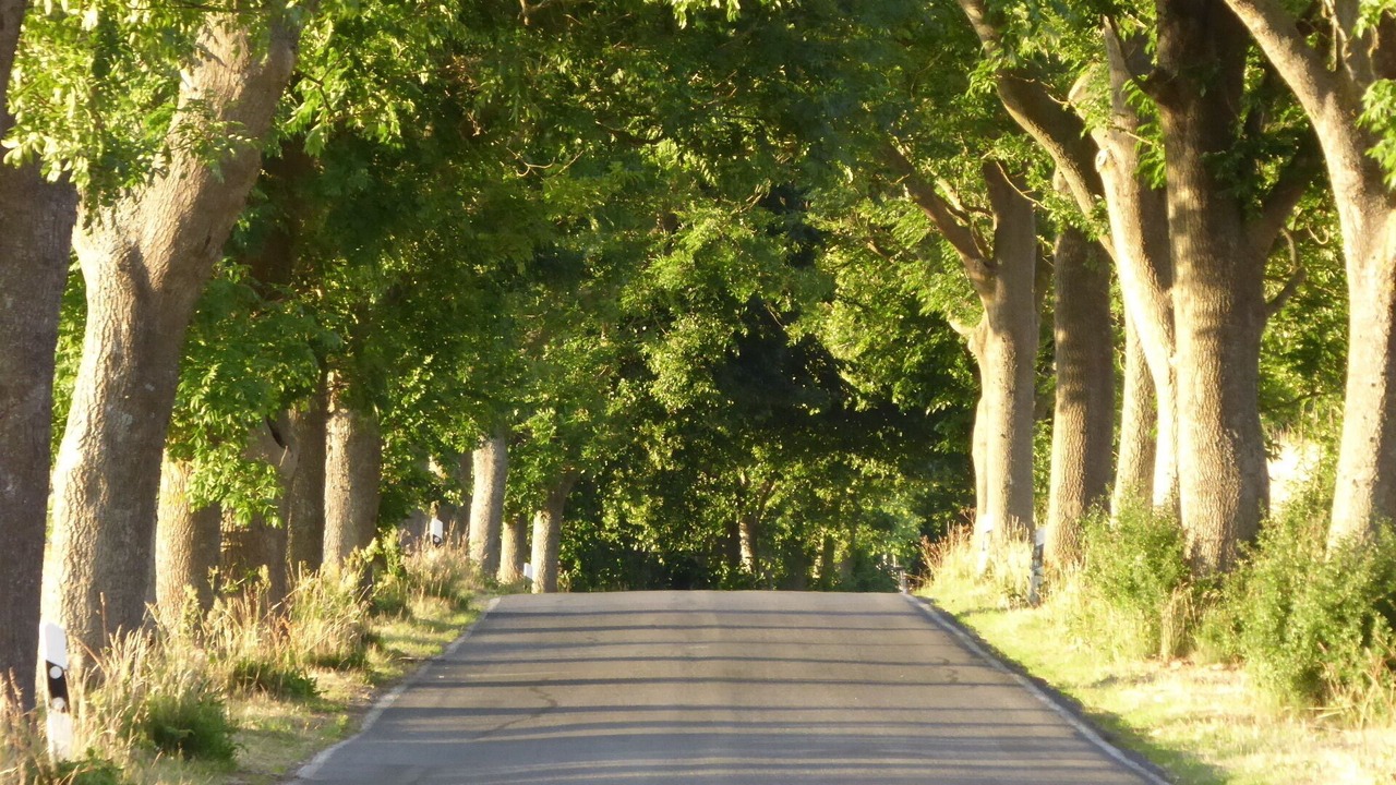 Photo of Outdoor in Gingst