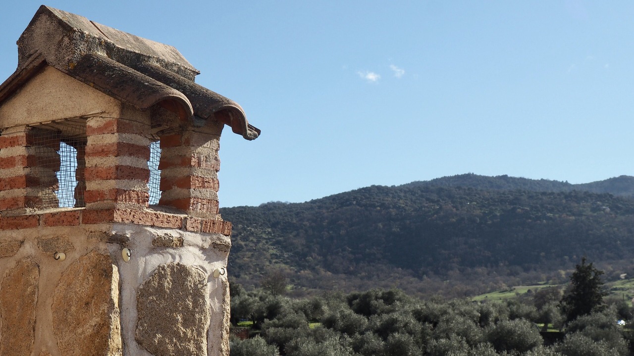 Photo of Others in Higuera de las Duenas