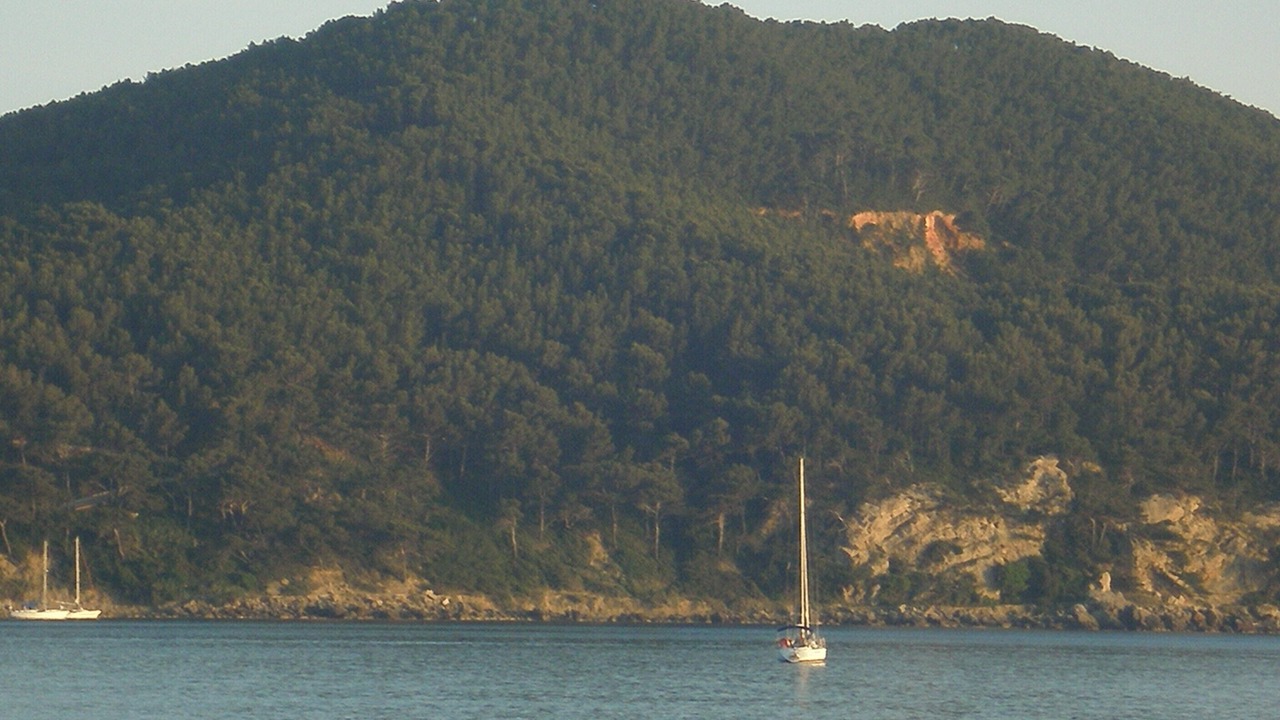 Photo of Others in Saint-Cyr-sur-Mer
