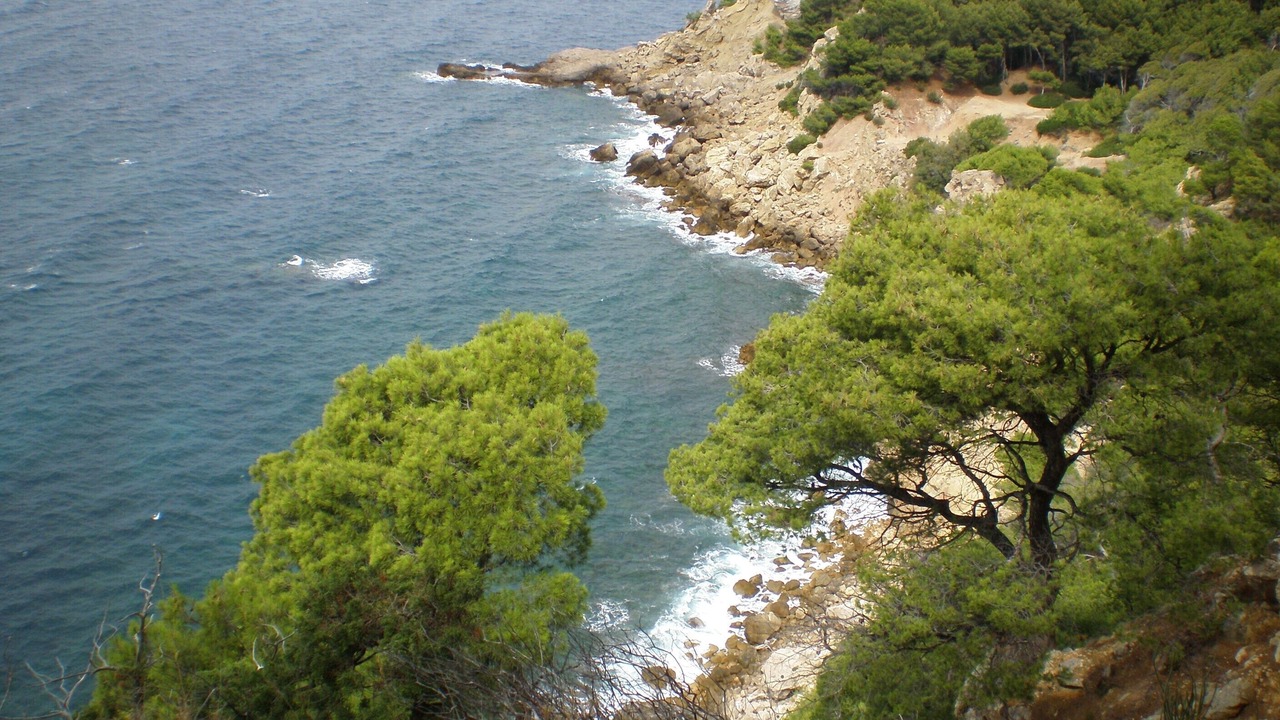 Photo of Outdoor in Saint-Cyr-sur-Mer