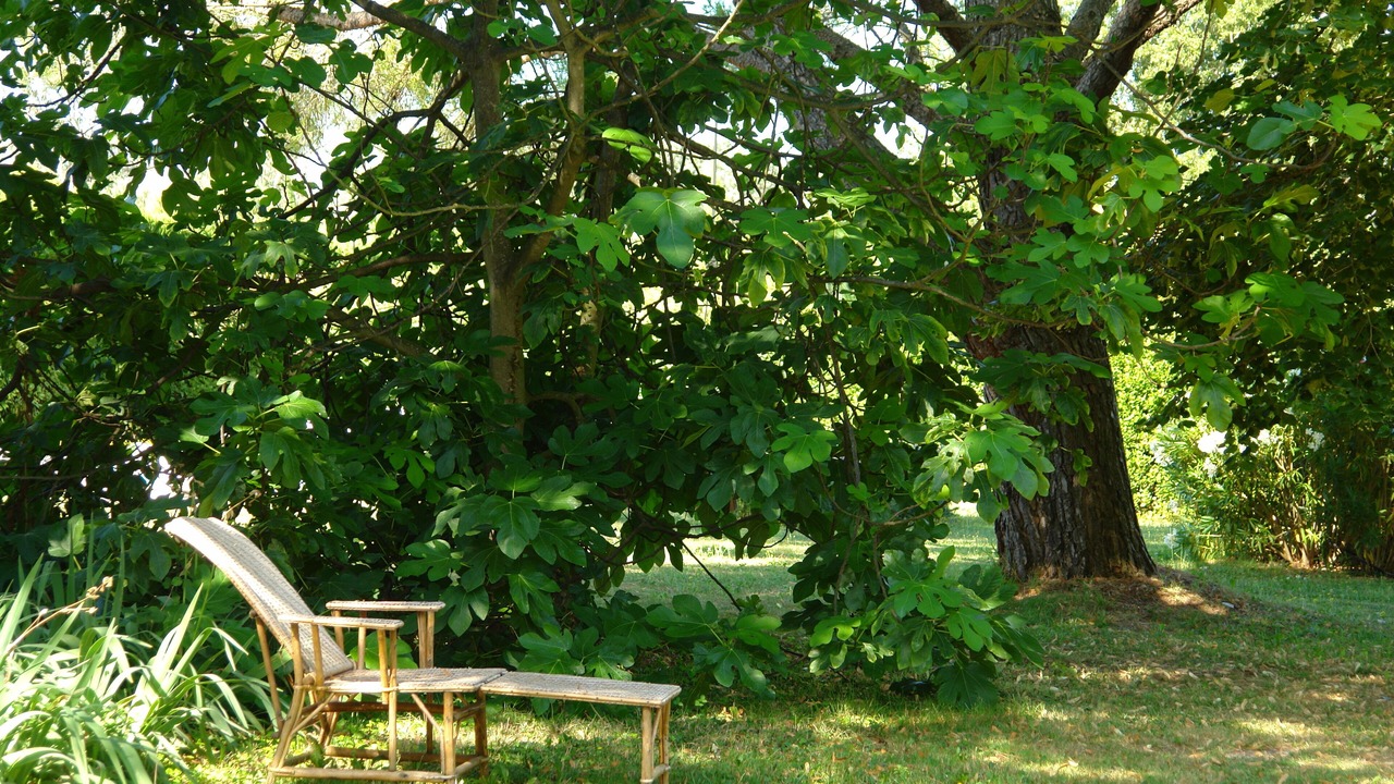 Photo of Outdoor in Eygalieres