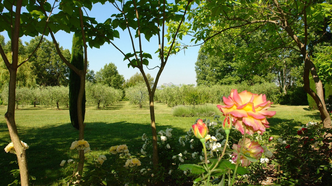 Photo of Outdoor in Eygalieres