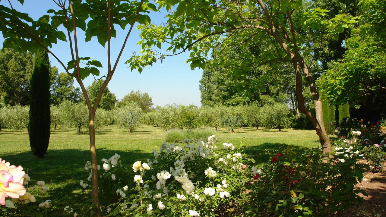 Photo of Outdoor in Eygalieres
