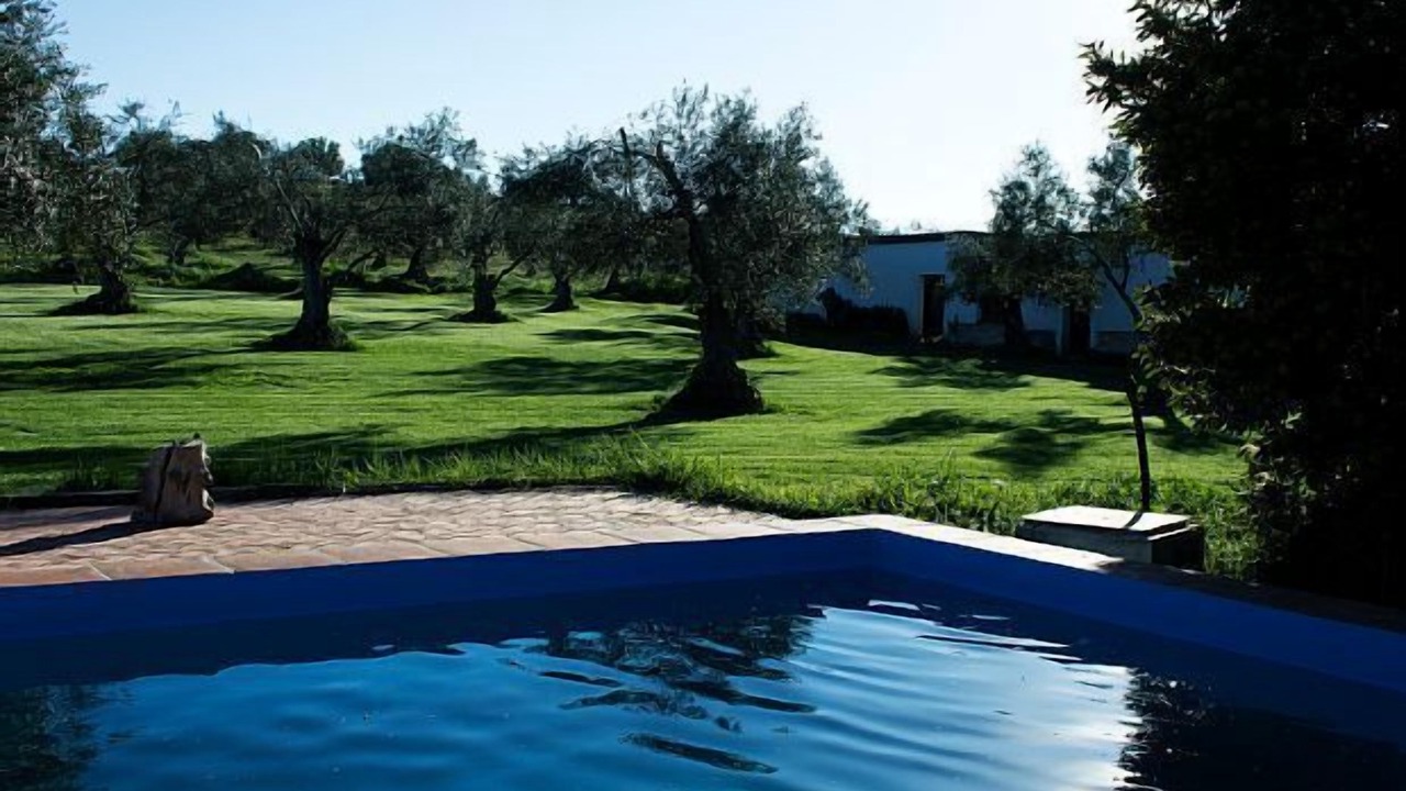 Photo of Outdoor in Fuente de Cantos