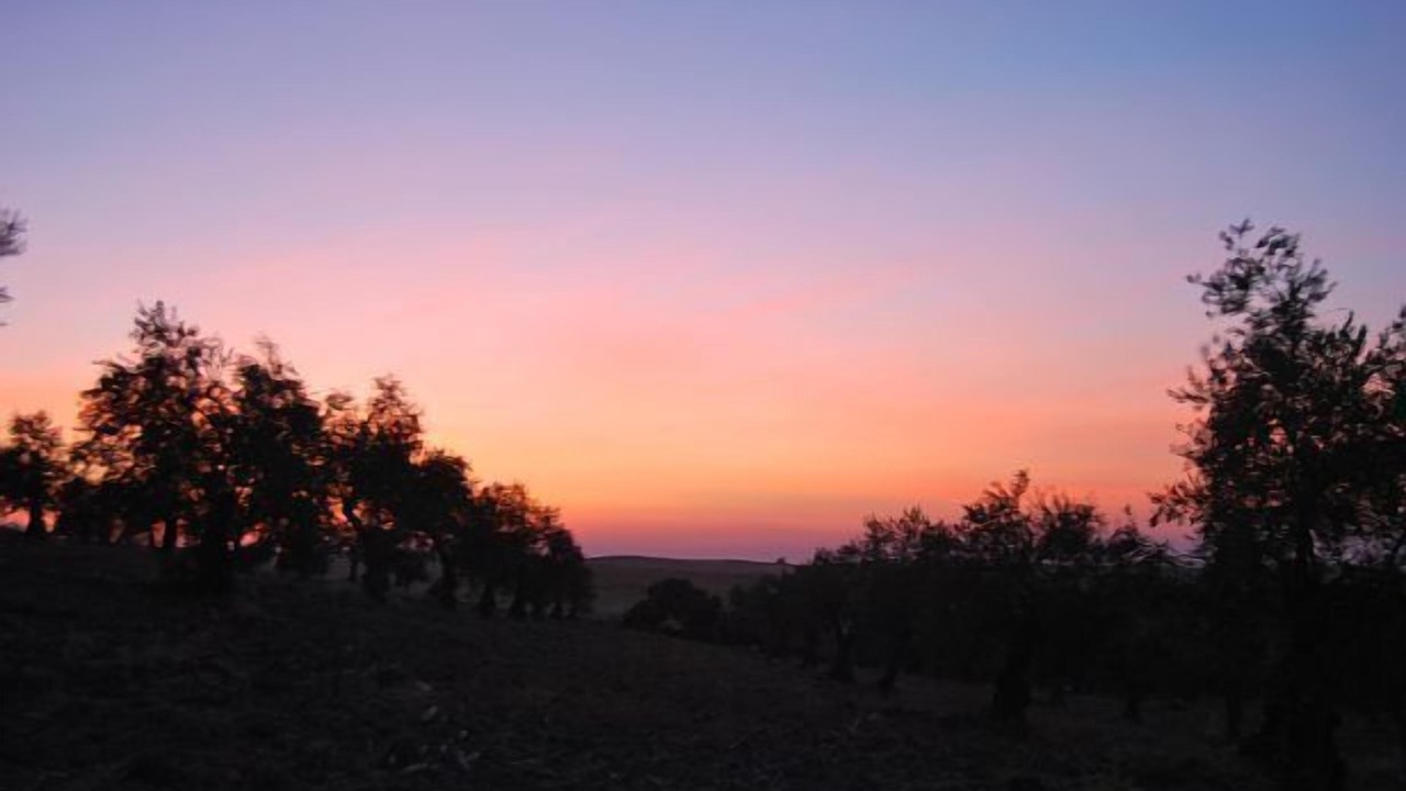 Photo of Outdoor in Fuente de Cantos