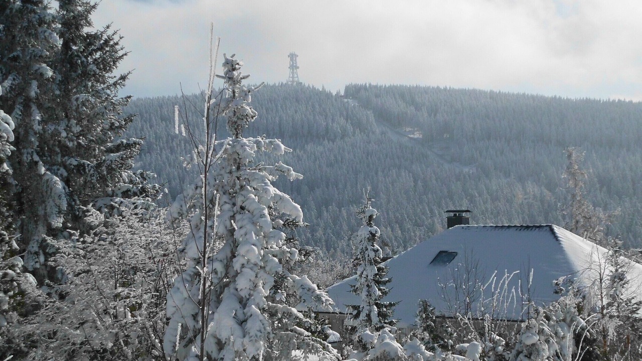 Photo of Others in Hahnenklee