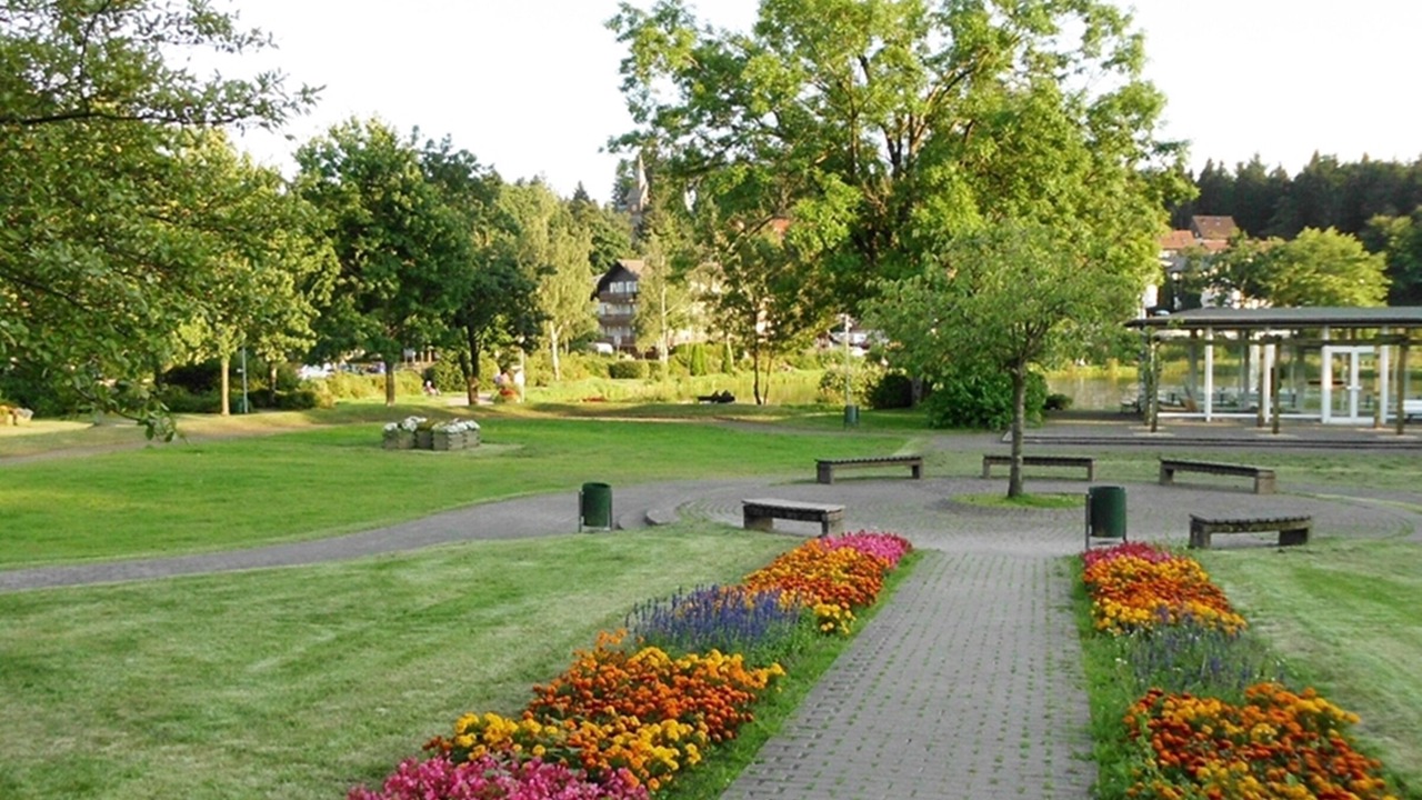 Photo of Outdoor in Hahnenklee