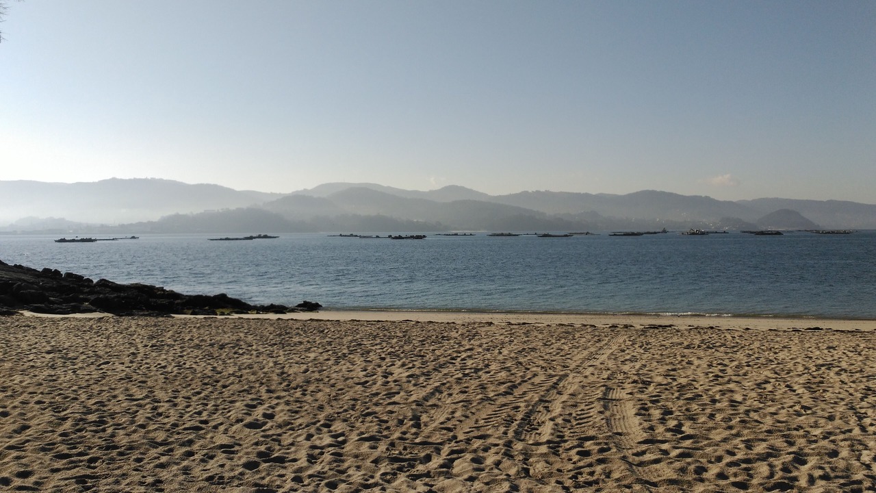 Photo of Others in Samieira