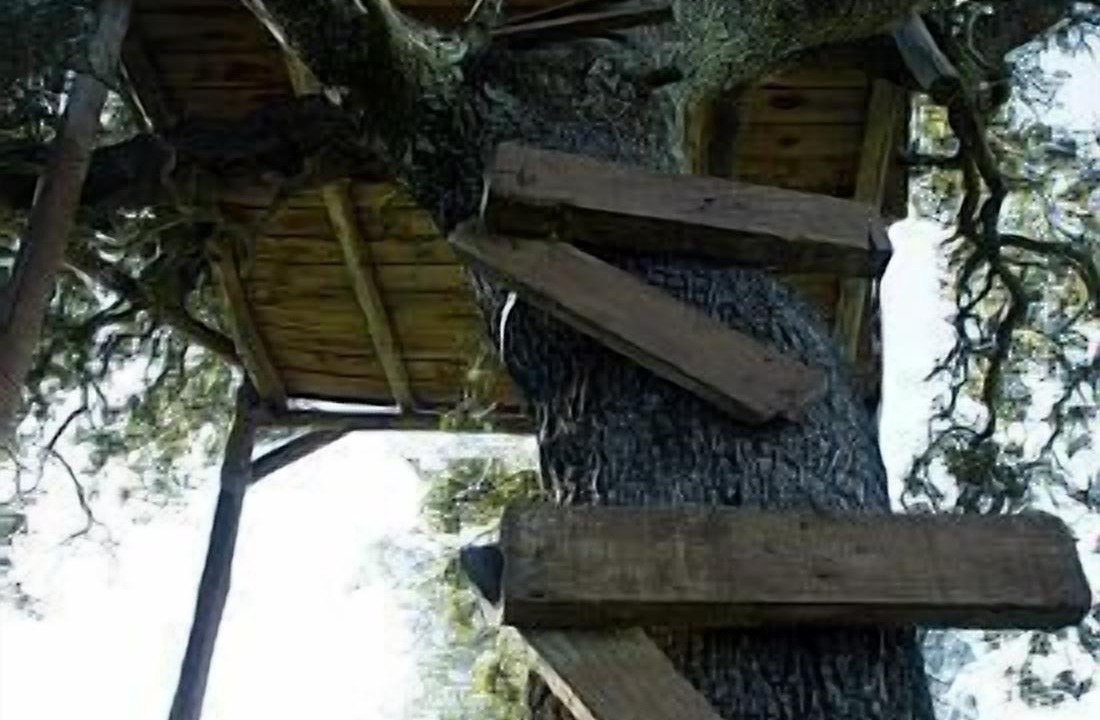 Photo of Outdoor in Fuente de Cantos