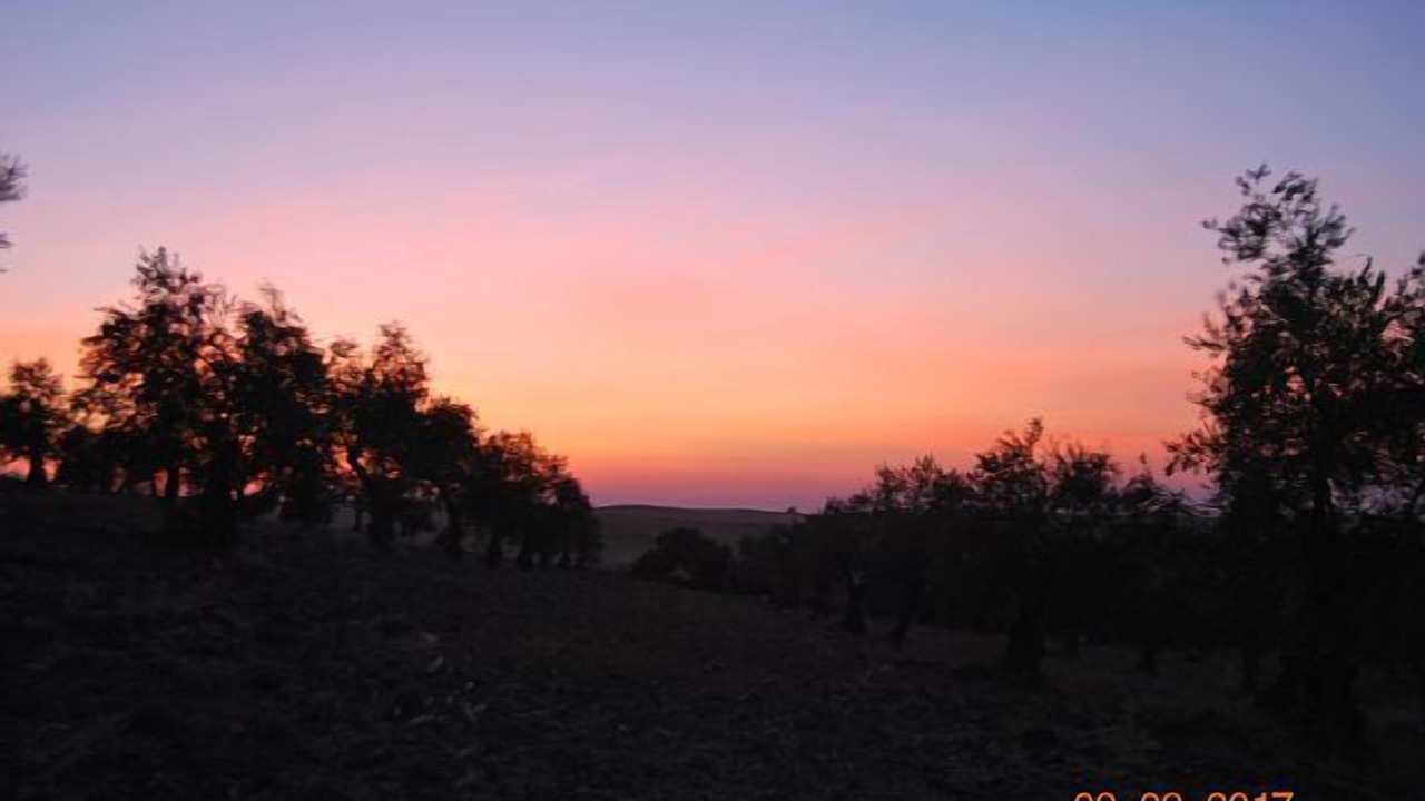 Photo of Outdoor in Fuente de Cantos