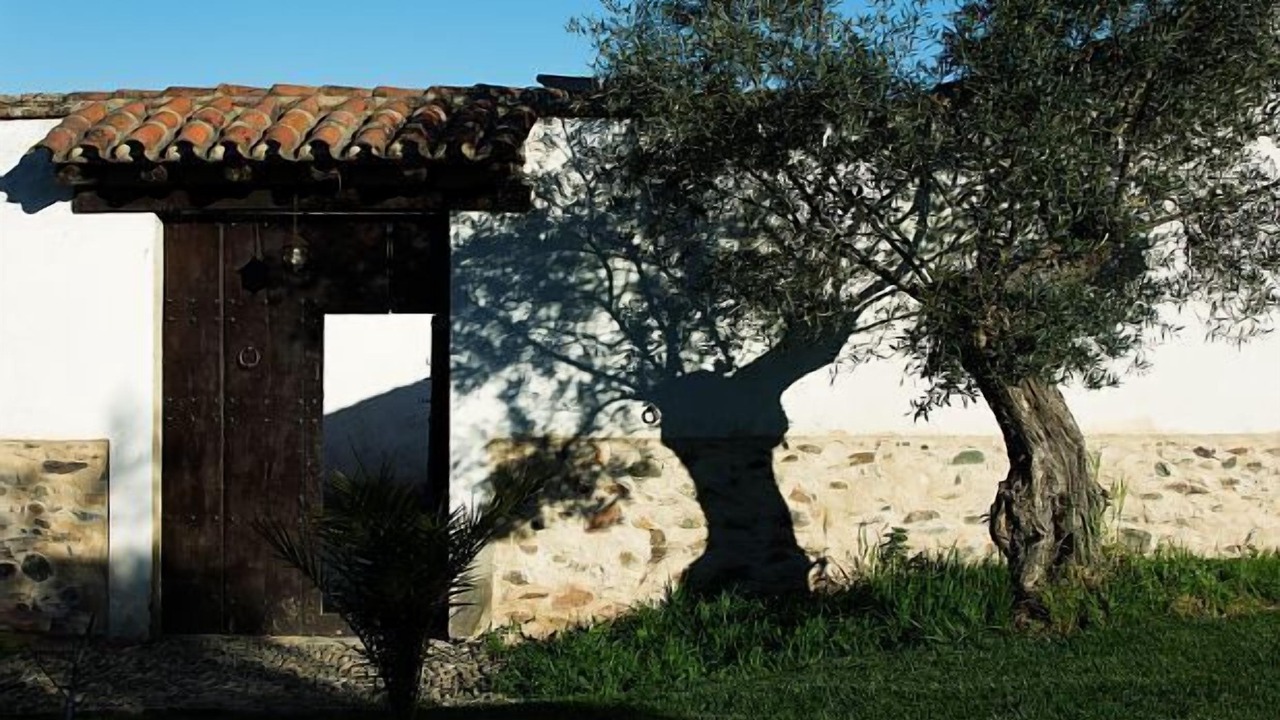 Photo of Outdoor in Fuente de Cantos