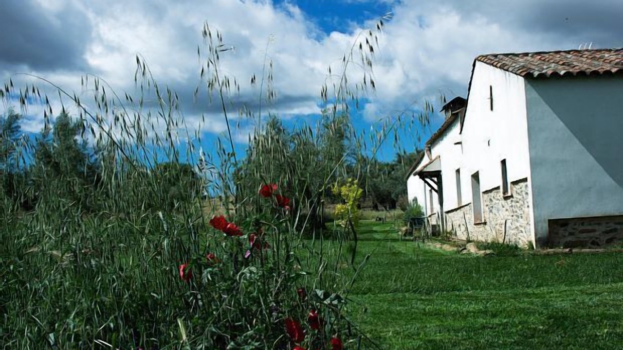 Photo of Outdoor in Fuente de Cantos