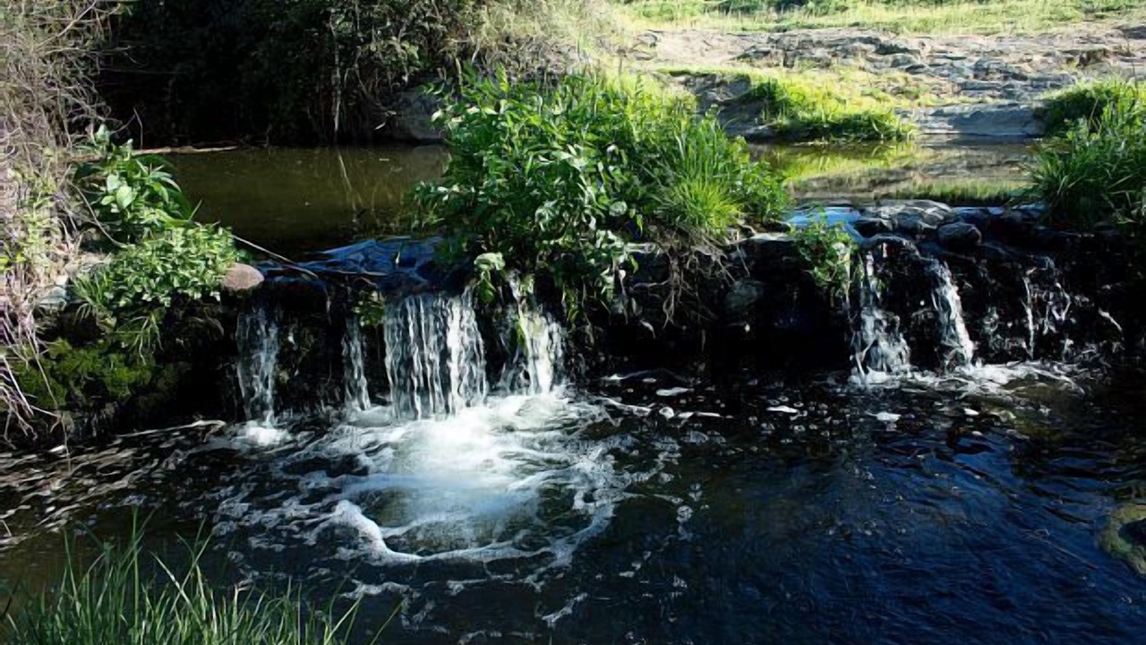 Photo of Outdoor in Fuente de Cantos